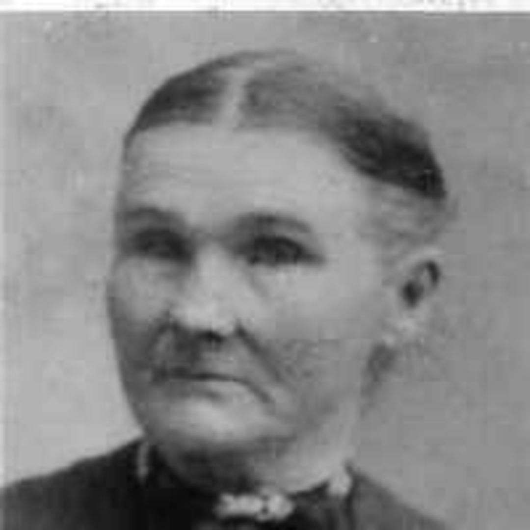 Anna McCormick (1830 - 1900) Profile